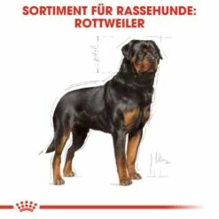 ROYAL CANIN Rottweiler Adult 12 Kg -FRESSNAPF Geschäfte 27a592969044fc1357f9676b2410de1aba1b1a6b cf9ef56478622babade804abe809db95616be3e9