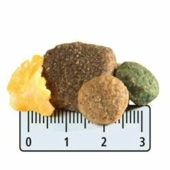 MultiFit Maxi Adult Mit Geflügel & Karotte 12kg -FRESSNAPF Geschäfte 285a1374eac8018ac2265e1fdd93ec21076f69ee bf5819de7d47863be940c2aa45c8c56bc33037f9