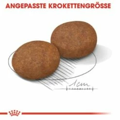 ROYAL CANIN Medium Adult 7+ 15 Kg -FRESSNAPF Geschäfte 287acfd0f9a5d960adefc0d31985c0030a54ad32 fba25e4adcc0f30cdea8227f66b5905a08faaddf