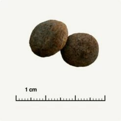 SELECT GOLD Sensitive Maxi Junior Lamm/Lachs/Kartoffel 4 Kg -FRESSNAPF Geschäfte 28af395c49e943aa9ab48faf021ceebb2dad145e 1001718003 de DE 6