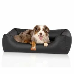 Knuffelwuff Orthopädisches Hundebett Montana Aus Kunstleder Schwarz M-L -FRESSNAPF Geschäfte 28bd0f32b8e066fb3bb020d5ad220a1937d75ced 1412170 de DE 7311c0c4c8e49d71195954eef00a36c1518080fd4vE1hu