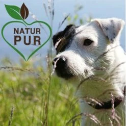 Fit-Crock Classic Lamm Mini -FRESSNAPF Geschäfte 294d1cda825d170943465cbb0a88ea0e74afc0d0 1687100 de DE 5576b019e140574c03da26f1354a1c04162c365aPCJVe0