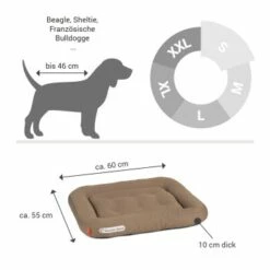 Doctor Bark Lounge-Kissen Sandbraun S 11 Doctor Bark Lounge-Kissen Sandbraun S -FRESSNAPF Geschäfte 2963b4baccec4fc858c8f95f66d3e8f46911bb05 1399026 de DE 90717154e6dd58a4c9c25001e3740a44ceb4b2abm9hHjz