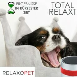 RelaxoPet PRO Entspannungs-Trainer HUND -FRESSNAPF Geschäfte 2a2890af55504b316fb288b48c33f73cd8cd6818 1315705 de DE 86a89a3dec2d79cadfd859276b25e24b347ce6a68JwiKQ