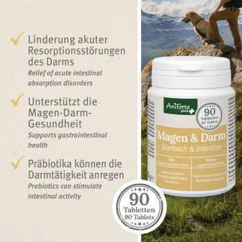 Aniforte Plus Magen & Darm 90 Tabletten 7 Aniforte Plus Magen & Darm 90 Tabletten – Bild 5