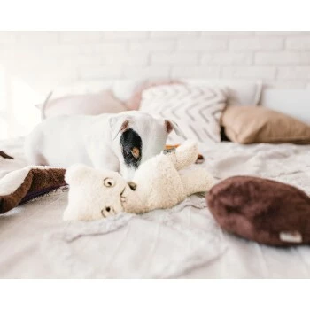 Freudentier Nachhaltiges Hundespielzeug Daniel 4 Freudentier Nachhaltiges Hundespielzeug Daniel – Bild 2