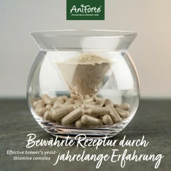 Aniforte Zecken Schild (bis 10kg) Für Kleine Hunde 60 Kapseln 6 Aniforte Zecken Schild (bis 10kg) Für Kleine Hunde 60 Kapseln – Bild 4