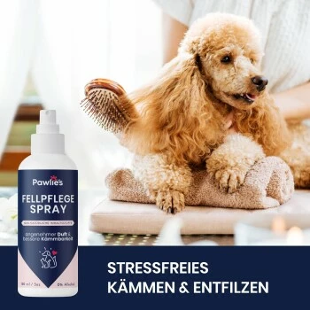 Pawlie's Fellpflege Für Hunde & Katzen 4 Pawlie's Fellpflege Für Hunde & Katzen – Bild 2