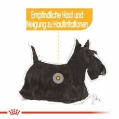 ROYAL CANIN Dermacomfort Mini 8 Kg 15 ROYAL CANIN Dermacomfort Mini 8 Kg -FRESSNAPF Geschäfte 2e3e3c6b2d06e764aae9020ad09e3e46f3316b00 5316148670735b865ac3b74806739474a10e760a