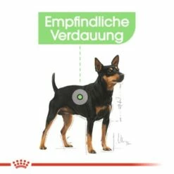 ROYAL CANIN Digestive Care Mini 8 Kg -FRESSNAPF Geschäfte 2f44f806b768c0d4181b42955c2678d2b1c910f5 6f99c8b5c64093b4e59b1ecd7ada5ca40e016ce2