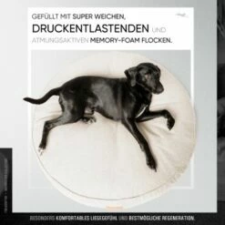 Freudentier Kuscheliges Hundebett Mit Memory Foam ⌀100cm Hellgrau 1 M 12 Freudentier Kuscheliges Hundebett Mit Memory Foam ⌀100cm Hellgrau 1 M -FRESSNAPF Geschäfte 2fa41c7ccdda9c77d8b6fa26f3b2698b64e72074 1421323 de DE 9ca907997ab16ea47d63e935a3f157723000eb2aJNhuyR