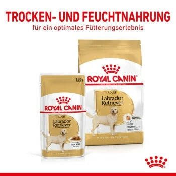 ROYAL CANIN Labrador Retriever Adul Stückchen In Soße 10x140g 9 ROYAL CANIN Labrador Retriever Adul Stückchen In Soße 10x140g – Bild 7