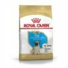 ROYAL CANIN Mops Puppy 1,5 Kg -FRESSNAPF Geschäfte 312b9d11e0d60909e02e976606d89917fb1a70e6 1082869 de DE puggy