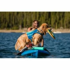 Ruffwear Hydro Plane™ Spielzeug L Blau/ Türkis 20 Ruffwear Hydro Plane™ Spielzeug L Blau/ Türkis -FRESSNAPF Geschäfte 3182973e4d2d3f04d1c88a483ada75b0da0b40b4 1364299 de DE 1b9b90a8c9802f9550dc8b34c08b951202478f9aXpyQQq