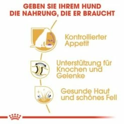 ROYAL CANIN Labrador Adult Sterilisiert 12 Kg 12 ROYAL CANIN Labrador Adult Sterilisiert 12 Kg -FRESSNAPF Geschäfte 318ba0ef082f19d7f189daa60ce58b5b82da72b0 0f8c00585e5d0a1ec6125a08e6f6194a30028a03