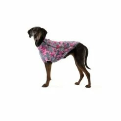 Ruffwear Climate Changer™ Fleece-Jacke Für Hunde Lila/ Grau XS -FRESSNAPF Geschäfte 31d08c48d82e56fa988a8efaad00ce115bf58a1e 1369648 de DE 0f7eaefedef9dc647cc2252d60c10845d7c68c4e58IpMU