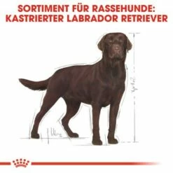 ROYAL CANIN Labrador Adult Sterilisiert 12 Kg 13 ROYAL CANIN Labrador Adult Sterilisiert 12 Kg -FRESSNAPF Geschäfte 31e1f6a26267d1a0a69c021124625ae837af3de5 d2e7d1ca570bae873340e636115141da7ec0dc2c