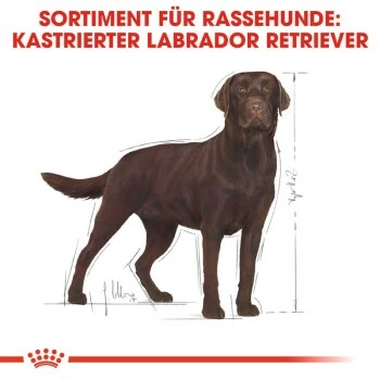 ROYAL CANIN Labrador Adult Sterilisiert 12 Kg 6 ROYAL CANIN Labrador Adult Sterilisiert 12 Kg – Bild 4
