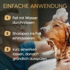Pawlie's Hundeshampoo Für Langhaar -FRESSNAPF Geschäfte 31fb70412552456c4a02729fa462588fcf0d4e5b 1626203 de DE 25d5ddf898b492fba858f49f2f6f7a8a36500b93qNDG8c