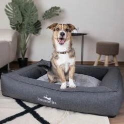 Freudentier Orthopädisches Box Hundebett Siebenschläfer M 17 Freudentier Orthopädisches Box Hundebett Siebenschläfer M -FRESSNAPF Geschäfte 32de9266716854cdaed24d4e14dc10e4656a1fe7 1477909 de DE a1d3b17f0715bf9005338fd2dbe5c71fb79f4226UdMUzr