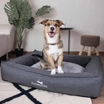 Freudentier Orthopädisches Box Hundebett Siebenschläfer M 10 Freudentier Orthopädisches Box Hundebett Siebenschläfer M – Bild 8