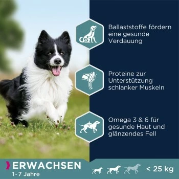 EUKANUBA Adult Small & Medium Breed Lamm & Reis 12 Kg 4 EUKANUBA Adult Small & Medium Breed Lamm & Reis 12 Kg – Bild 2