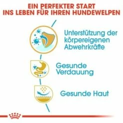 ROYAL CANIN Französische Bulldogge Puppy 10 Kg -FRESSNAPF Geschäfte 34ed88d56e0be1cc0a286c4ecd66a1af31d1100e 2bf488555545c9acb1d0d947f06389b7a3324357