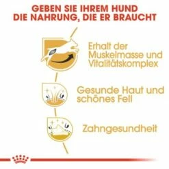 ROYAL CANIN Jack Russell Terrier Adult 7,5 Kg -FRESSNAPF Geschäfte 35e6a8dcc94906e79df691db79fcd68348fd3d7c e504a2b85c16d0248bea5582e1fdb476efcebd15