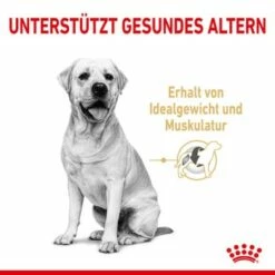 ROYAL CANIN Labrador Retriever 5+ Adult 12 Kg 13 ROYAL CANIN Labrador Retriever 5+ Adult 12 Kg -FRESSNAPF Geschäfte 36302d0545303057162d207ddcaab4c5166f9844 25542c8ceccb3c049d8caac2fe35e7786064477e