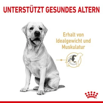 ROYAL CANIN Labrador Retriever 5+ Adult 12 Kg 8 ROYAL CANIN Labrador Retriever 5+ Adult 12 Kg – Bild 6