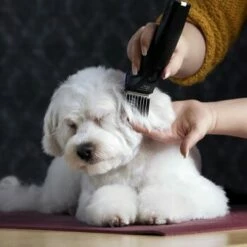 Moser Schermaschine Arco Pro -FRESSNAPF Geschäfte 365e29754c538dcc259069da0cc9793e69d0b654 8ffdd5bc19f3a136ec865d6030d040722a7ad1c3