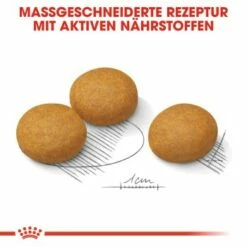ROYAL CANIN Dermacomfort Maxi 12 Kg 14 ROYAL CANIN Dermacomfort Maxi 12 Kg -FRESSNAPF Geschäfte 374b27f3da451fce8be3c7bc6d0990b58088e8da 1376168 de DE aosa 7