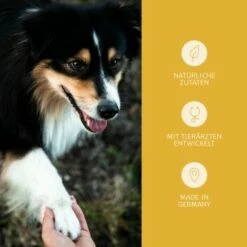 Mammaly Immu Push 110g -FRESSNAPF Geschäfte 38b7917670f59d2a88ff5d6635a04535121b1ee9 1472893 5