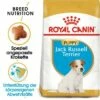 ROYAL CANIN Jack Russel Terrier Puppy 1,5kg