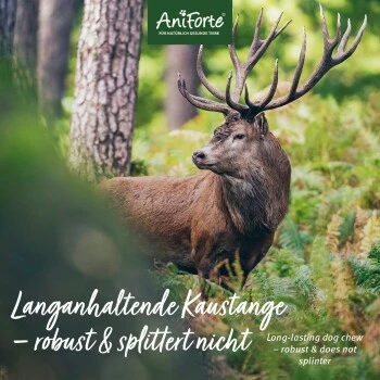 Aniforte Hochland Hirschgeweih Large 9 Aniforte Hochland Hirschgeweih Large – Bild 7