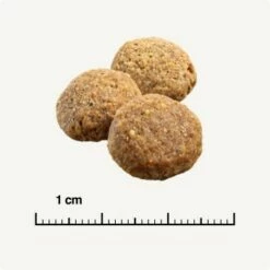 SELECT GOLD Light Medium Adult Huhn 4 Kg -FRESSNAPF Geschäfte 3ac40a878e745f264b4acd423b6ddb7b1c90063c 1001492005 de DE 6