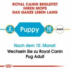 ROYAL CANIN Mops Puppy 1,5 Kg -FRESSNAPF Geschäfte 3af85b5d68e2a2d838baf46d348bcc6f5c8cb3c0 9dd5ef32b5081e96ebcb60ff0f9e0f454f14f3ae