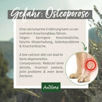 Aniforte BARF-Line Gemahlene Knochen 500 G 6 Aniforte BARF-Line Gemahlene Knochen 500 G – Bild 4