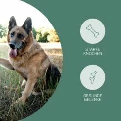 Mammaly Happy Hips 110g -FRESSNAPF Geschäfte 3c8bff51a0475eda30226950bbfaf91b8c4d5bf4 1472886 1 3