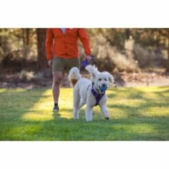 Ruffwear Huckama™ Spielzeug Violett 16 Ruffwear Huckama™ Spielzeug Violett -FRESSNAPF Geschäfte 3c9858f23e189df169fef8e6b079b9b80afe5185 1639706 de DE 22affde3e5114f0c2b5db19a77f0508968440a74megCgS