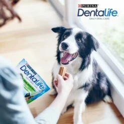 DentaLife PURINA Hunde Zahnpflege-Snacks Großpackung Medium, 84x -FRESSNAPF Geschäfte 3d22bf74a99660236ce1548620fac8aa3ac8818f 7dac1d18ca011066644ad899fee9fa3bcb5974f5