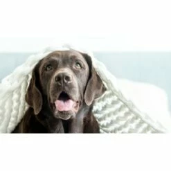 Mammaly Relax Time 110g -FRESSNAPF Geschäfte 3dd35fe2b92d8dcd6709afd1b3b41791517f9181 1472888 4