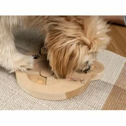 TrendPet Intelligenzspielzeug Intelli -FRESSNAPF Geschäfte 3eb4d41034c0f3313929136157c4052ccd4ea926 1260161 de DE d146e7e756f1415d035fb0f48553c56a33aee61amIbGAB