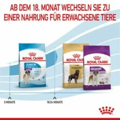 ROYAL CANIN Giant Junior 15 Kg -FRESSNAPF Geschäfte 3f0f320cf0514c60e2d60f64a366dd987cd444ca 3182550707077 7