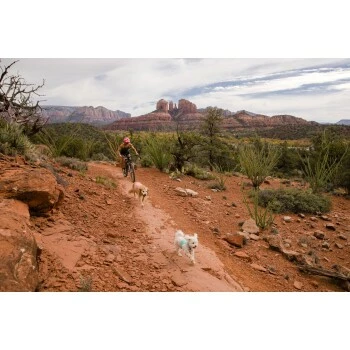 Ruffwear Swamp Cooler Zip™ Kühlweste Für Hunde Pink XL 11 Ruffwear Swamp Cooler Zip™ Kühlweste Für Hunde Pink XL – Bild 9