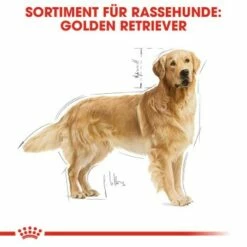 ROYAL CANIN Golden Retriever Adult 12 Kg -FRESSNAPF Geschäfte 3f6d567572cfb1e47a6150727d5c2bca6786edbc 449b3ff968c54d107edb2d725c3518ba098a60bf
