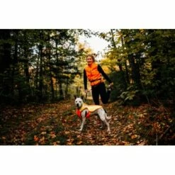 Ruffwear Lumenglow™ High-Vis Hundejacke Orange XL -FRESSNAPF Geschäfte 40663366cb362acd2f222531a6c489c5dd028940 1378153 de DE 6ea16c8681e07ff1404b1bde8c0b1b4ddb6fa478XOeqLy