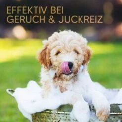 Pawlie's Welpenshampoo -FRESSNAPF Geschäfte 42f9c58257fb2002e5c33c2d81bd829c9adeb1cc 1626204 de DE 8b17d3990cf88ea437c76c60b6848183bc9636a5a44ihJ