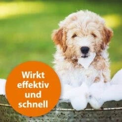 Ardap Anti Zecken Shampoo Für Hunde 250ml -FRESSNAPF Geschäfte 45234aab493187b4f025c9c1611ba91401852a61 1289723 de DE 011c29b51870fd299b578444e9341eb4fefc30b304XMpl