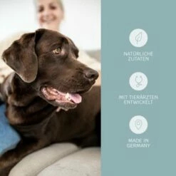 Mammaly Relax Time 110g -FRESSNAPF Geschäfte 47b0514aa339d6921a137cd64a4de801a1989a4a 1472888 3